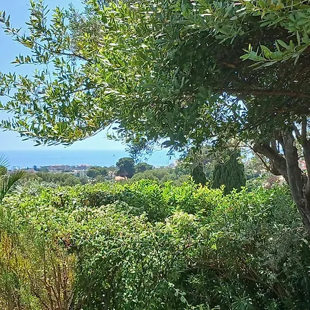 Oda ve Kahvaltı Dans La Cypra Antibes